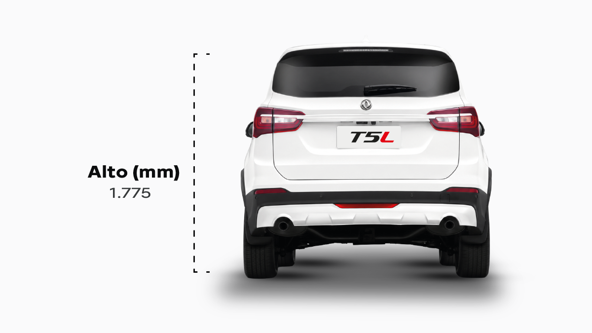 POSTERIOR T5L 1200 X 675