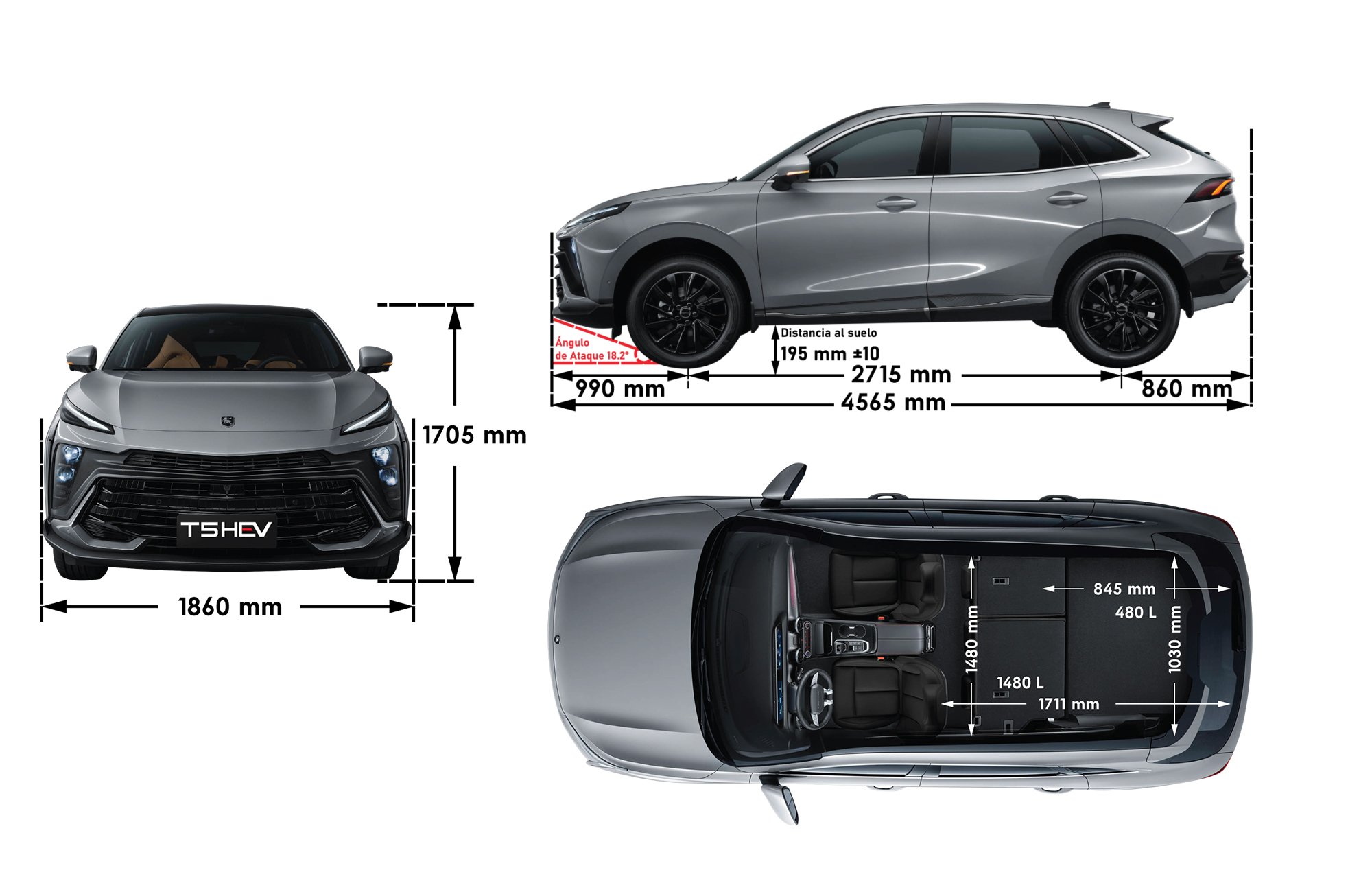 medidas y dimensiones medidas y dimensiones