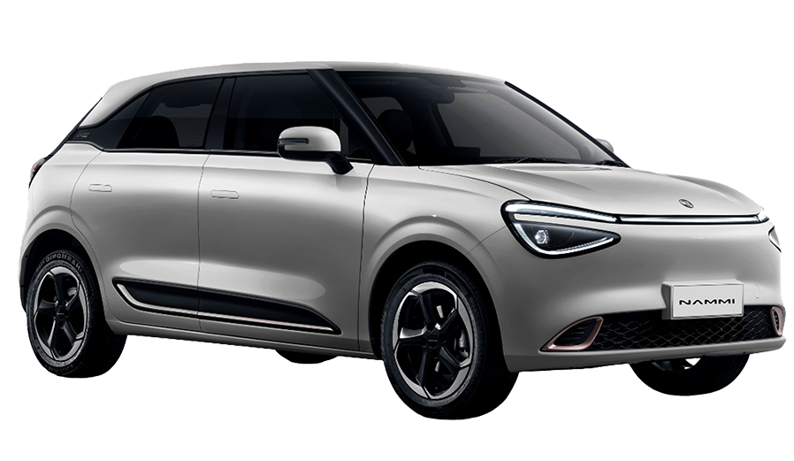 NAMMI 01